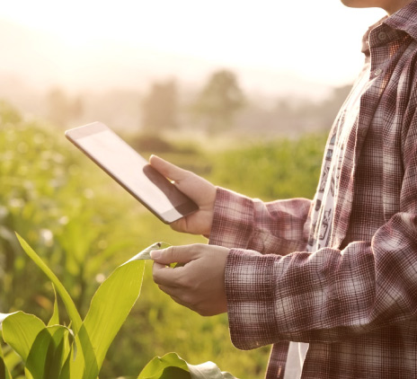 Incentivos ao Crescimento no Brasil: Oportunidades para Captação de Recurso