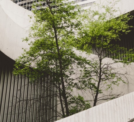 Miniatura sustentabilidade