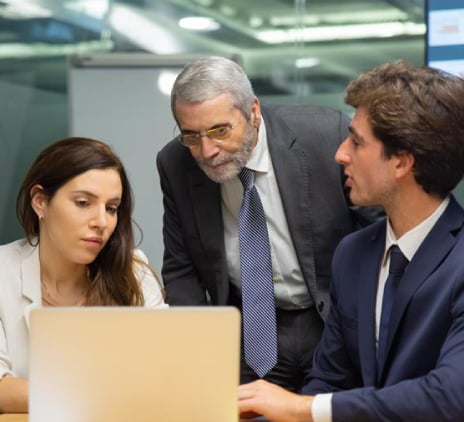 grupo de sócios analisando computador 