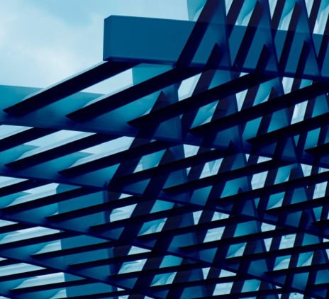 Thriving through disruption