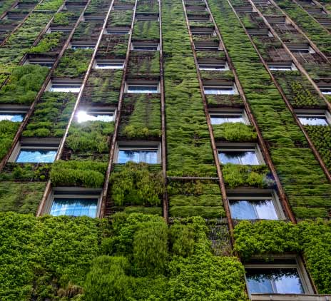 Janelas de um escritório sustentável 