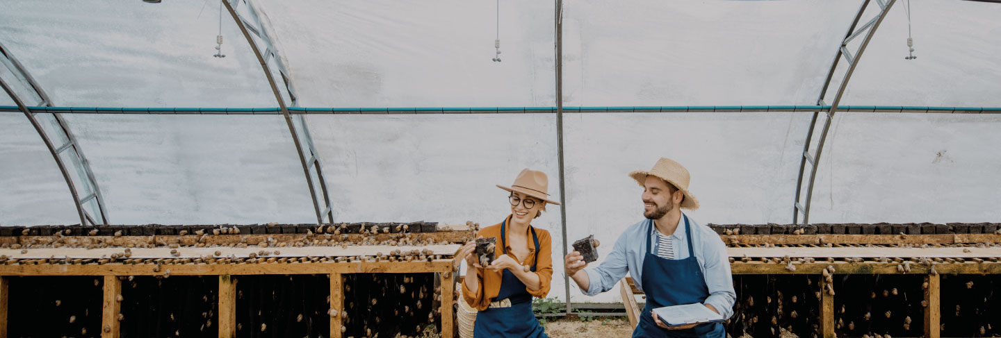 How do we help companies achieving that competitive edge?