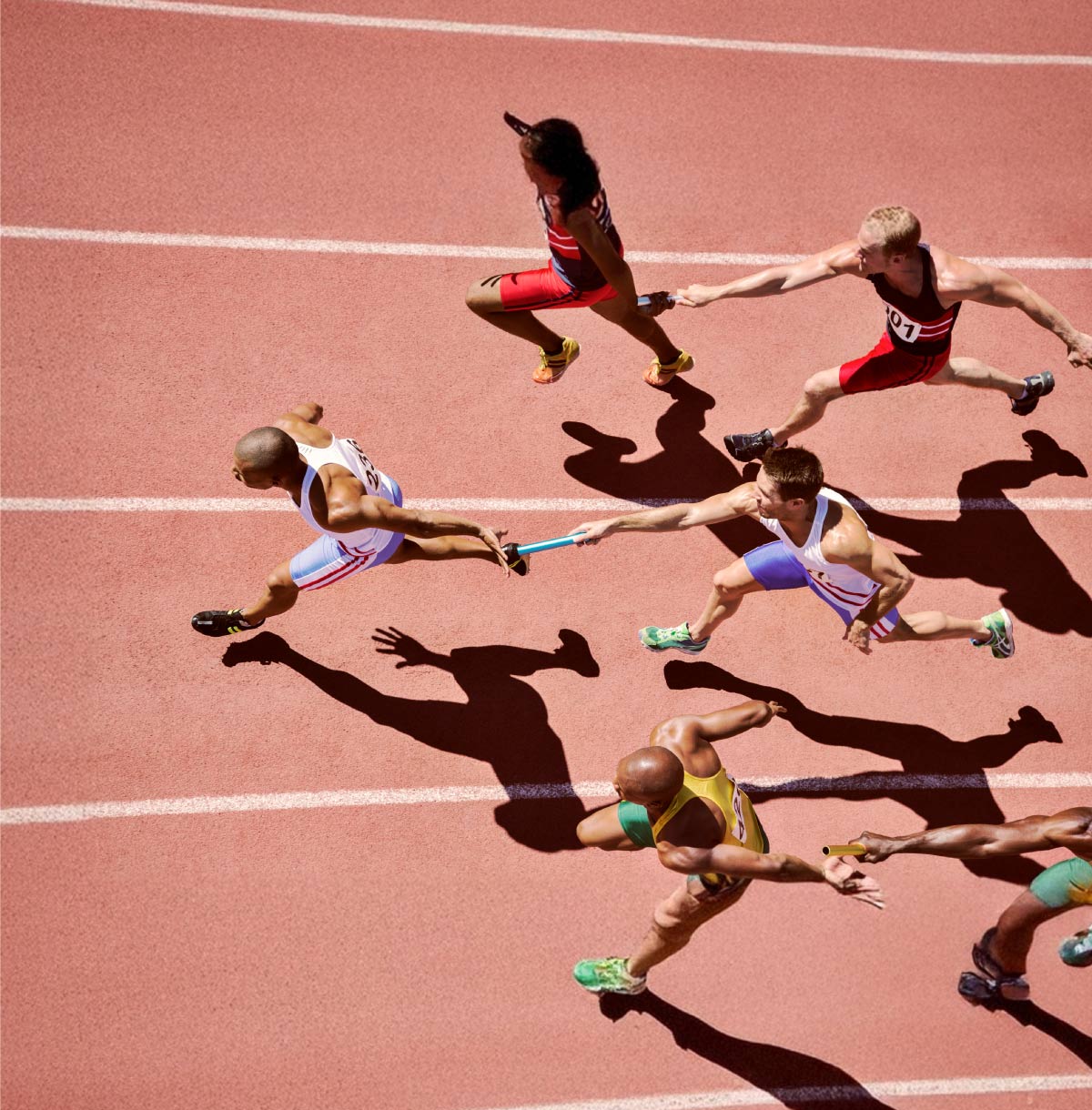 Supply Chain & Procurement