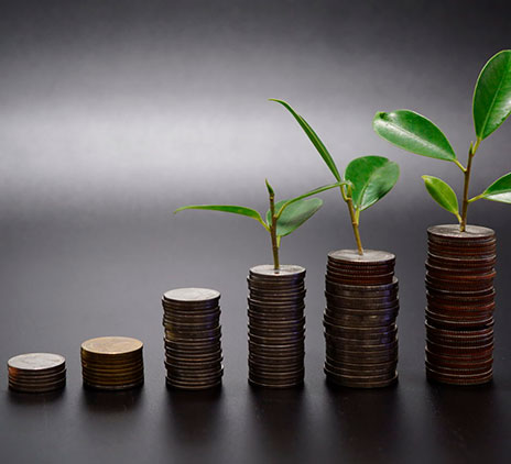 O sistema ‘Cap and Trade’ e a formação do mercado de créditos sustentáveis