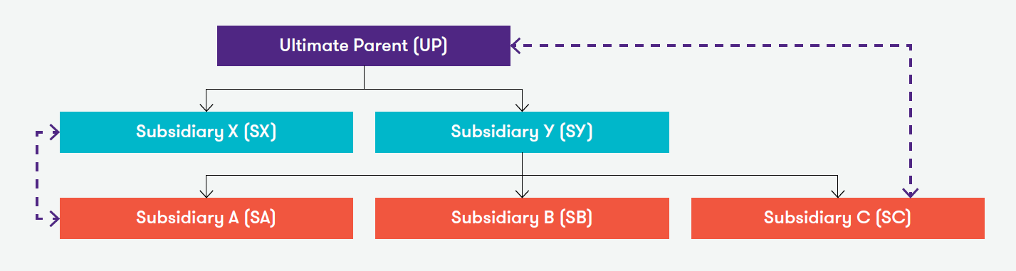 Infrografico ilustrado