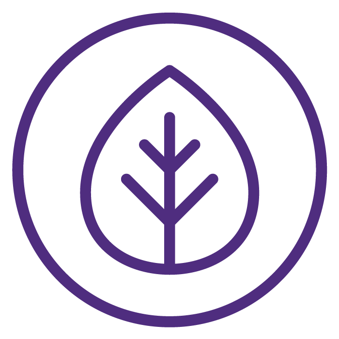 Icon Leaf purple