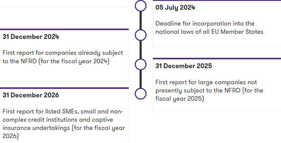 Linha do tempo informativa