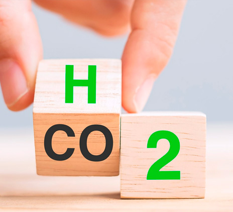 O crédito de carbono é nosso: chegou a hora de investir em ESG