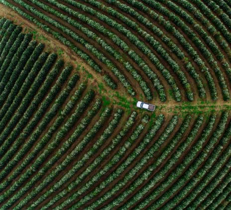 Agricultor e pecuarista: sua empresa está preparada para se proteger adequadamente da exposição aos riscos?