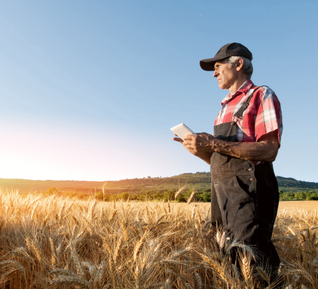 Farm is also a company: management and control can guarantee advantages and increase profits