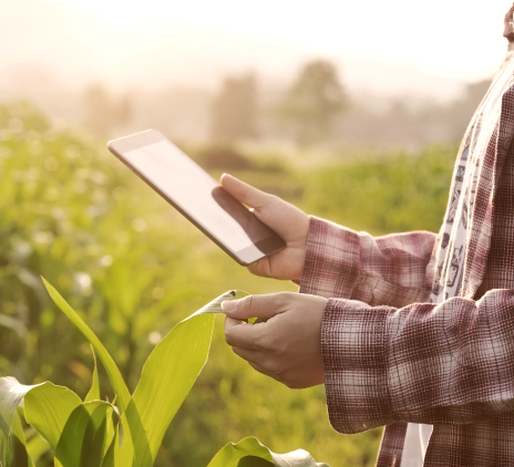 Agronegócio sustentável e tecnológico: os ganhos em produtividade e acesso a benefícios