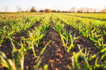 Cenário Tributário do Agronegócio 2021