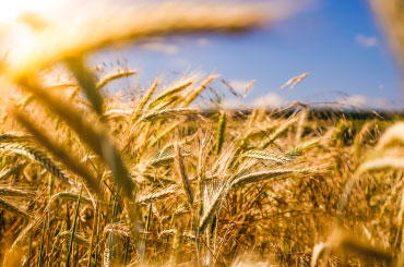 Cenário Tributário do Agronegócio 2021