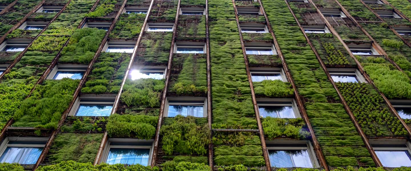 Janelas de um escritório sustentável