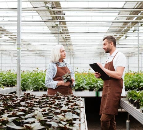 Recuperação de terras impulsiona M&A no agro sustentável