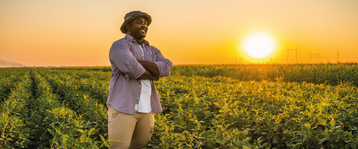 The ESG aspects and corruption-fighting measures gained the spotlight in the last few years, significantly increasing implementation of integrity, compliance and good practices programs in Agribusiness industry entities.